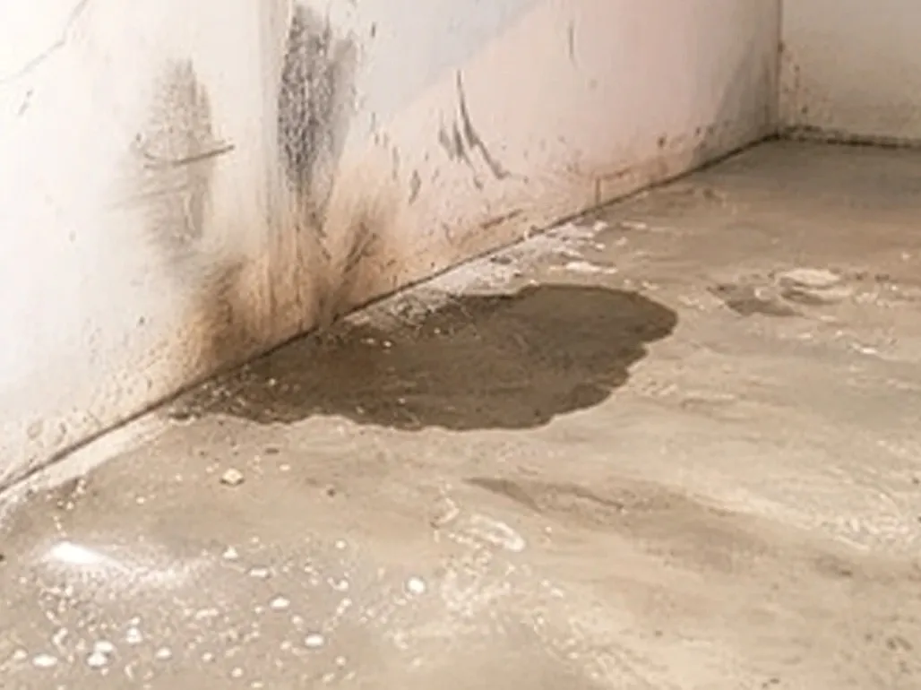 A dark water stain spreading up a wall above a puddle