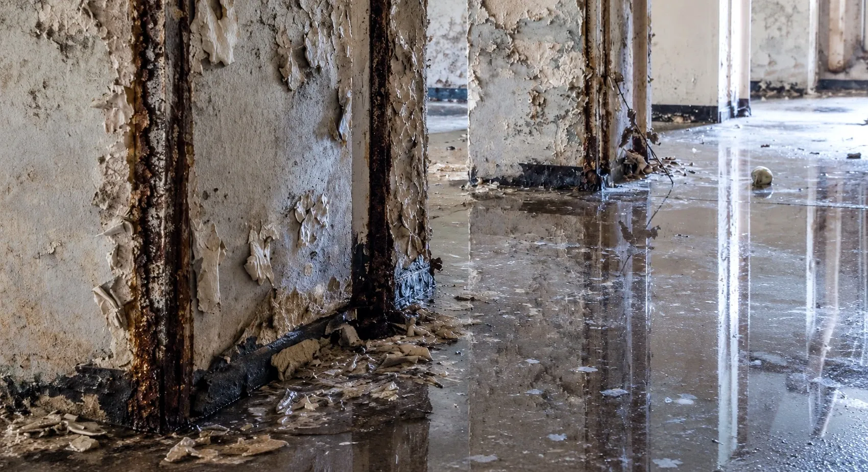 Peeling paint, rusted steel and standing water where water damage was left to sit